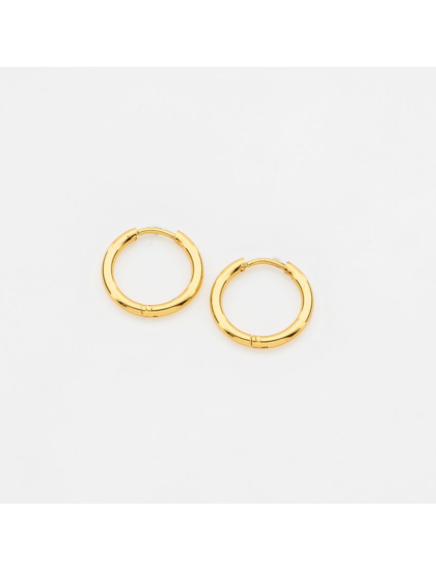 Modern Bold Hoop Earrings
