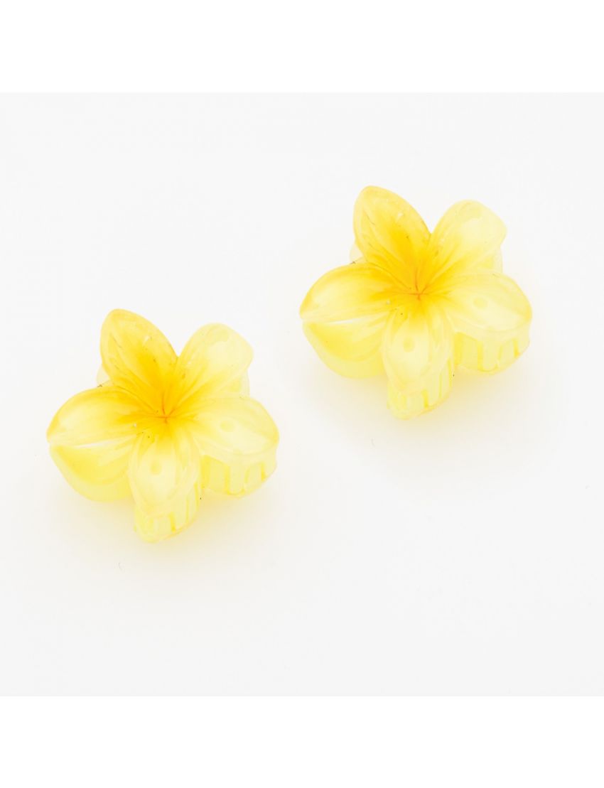 Μίνι Κλάμερ Μαλλιών Λουλούδι 