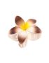 Κλάμερ πλαστικό λουλούδι σε 6 γυαλιστερά χρώματα